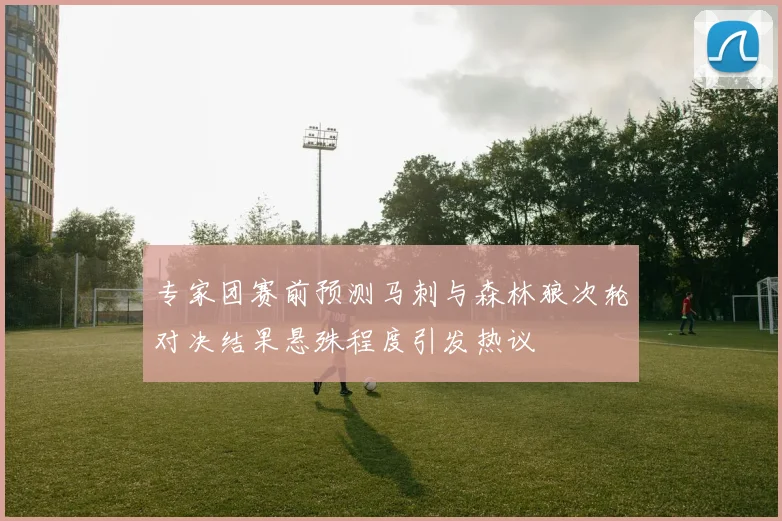 专家团赛前预测马刺与森林狼次轮对决结果悬殊程度引发热议